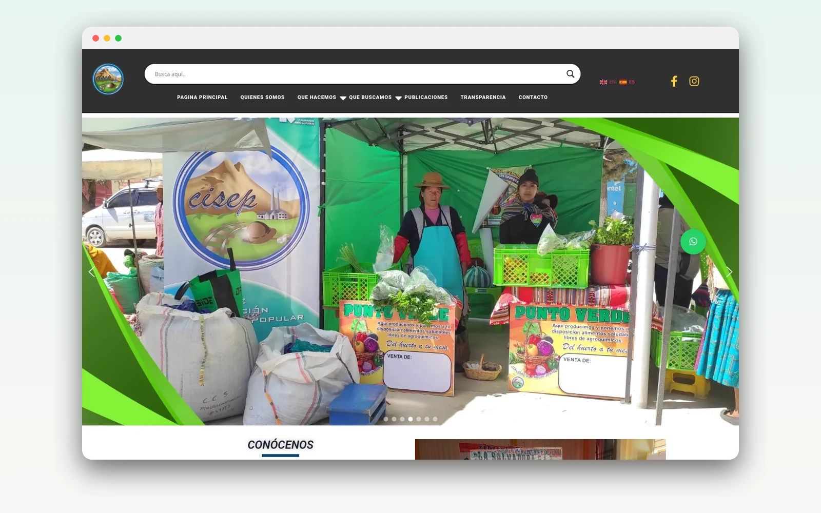 CISEP — Sitio web institucional estratégico — Sitio estratégico de una ONG: donaciones, denuncia anónima, transparencia y voluntariado